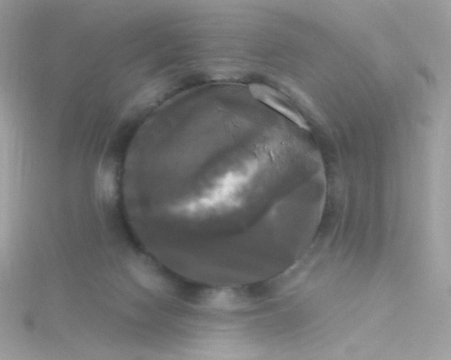 X0000115660074200911251718