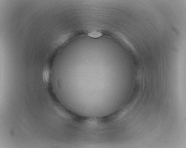 X0000115660076200911251718