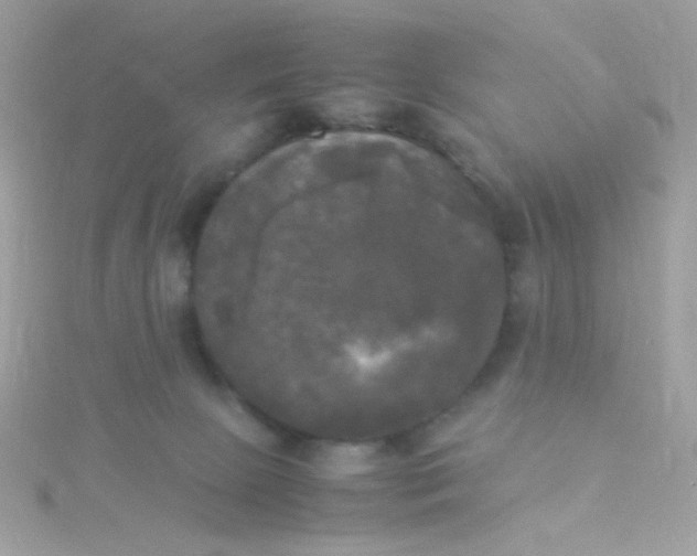 X0000115660081200911251718