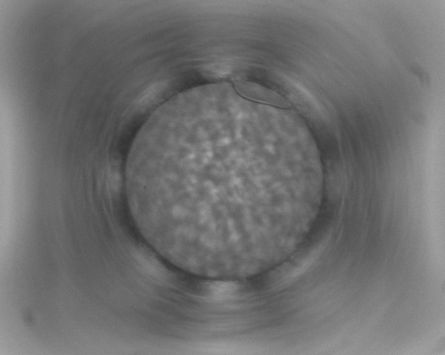 X0000115660085200911251718