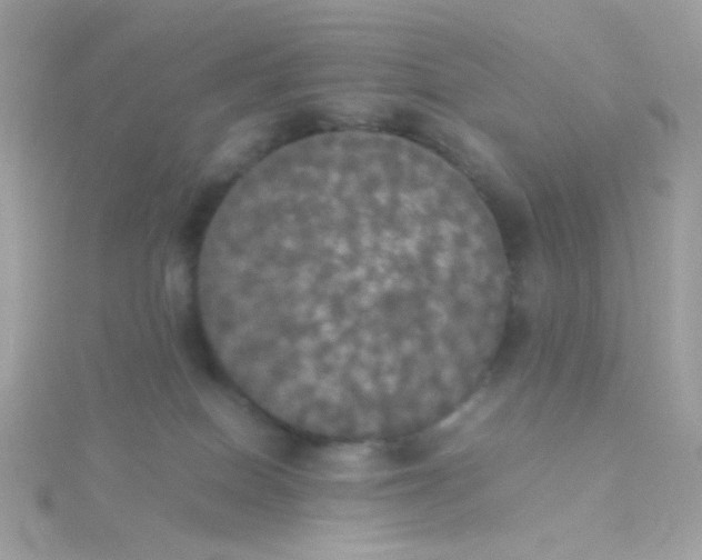 X0000115660086200911251718
