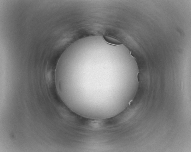 X0000115660088200911251718