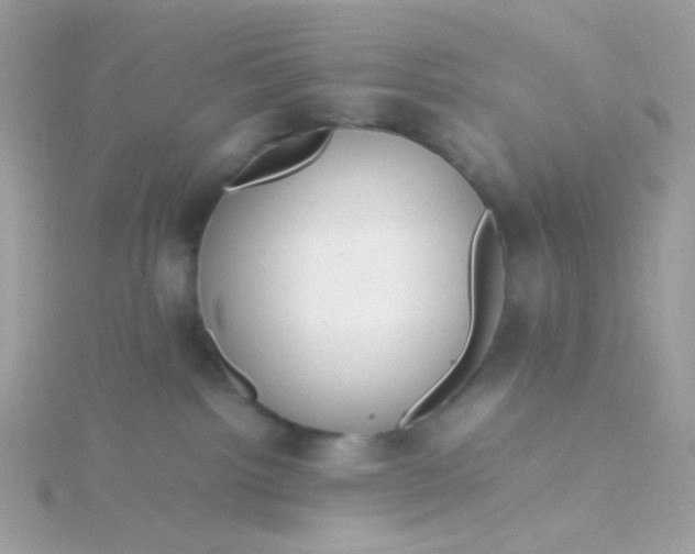 X0000115660092200911251718