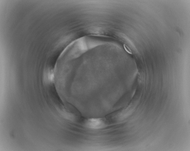 X0000115660095200911251718