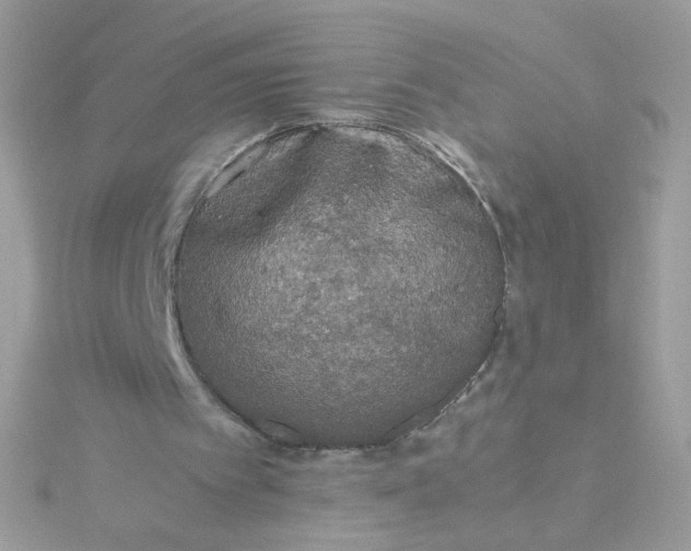 X0000115660097200911251718