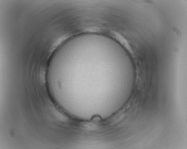 X0000115660106200911251718