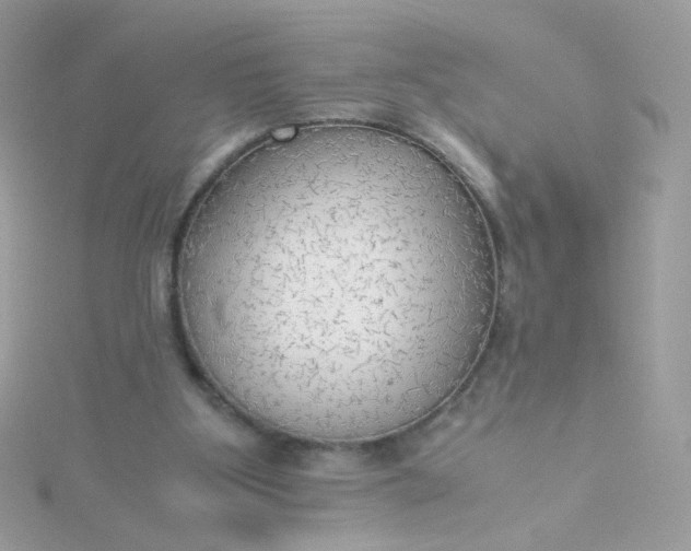 X0000115660107200911251718