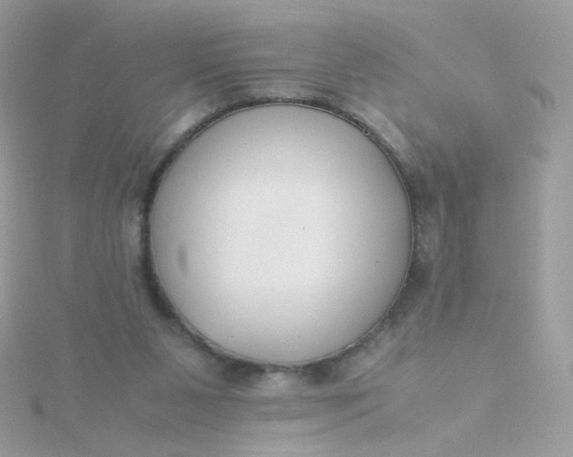 X0000115660111200911251718