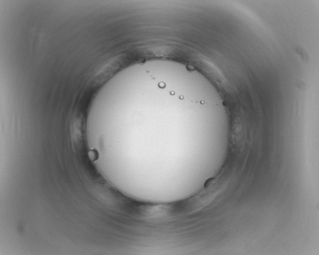 X0000115660122200911251718