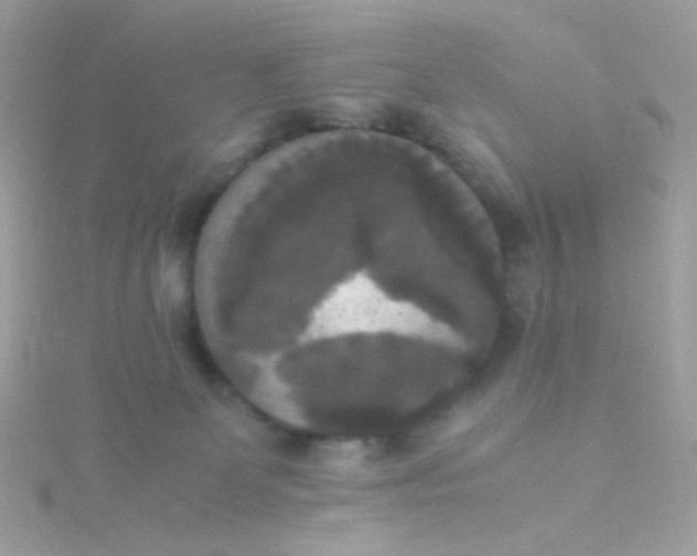 X0000115660131200911251717