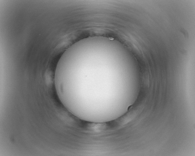 X0000115660135200911251717