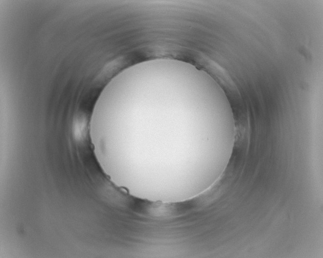 X0000115660142200911251717