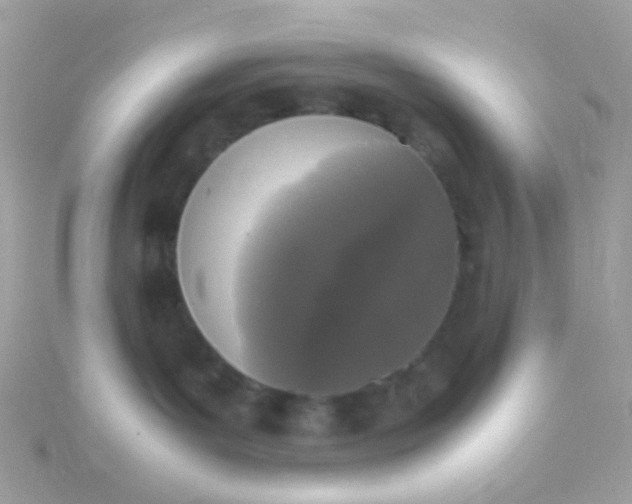 X0000115660143200911251717