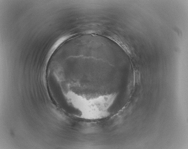 X0000115660147200911251716