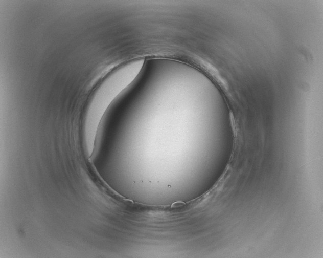 X0000115660154200911251717