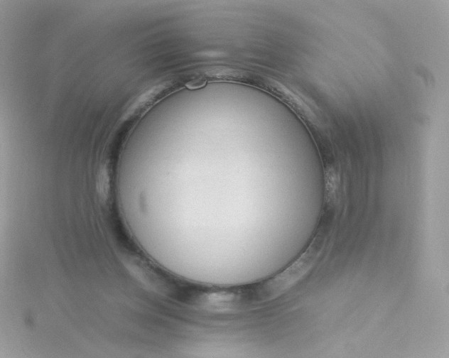 X0000115660158200911251717