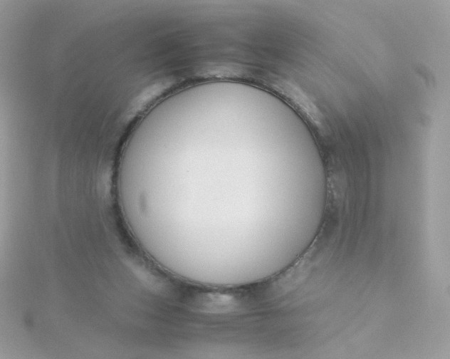 X0000115660159200911251717