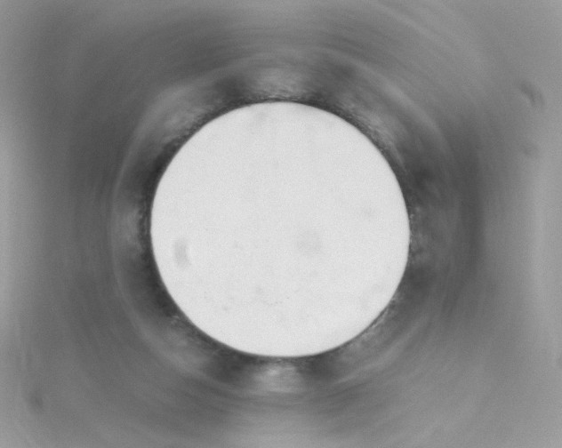 X0000115660162200911251717