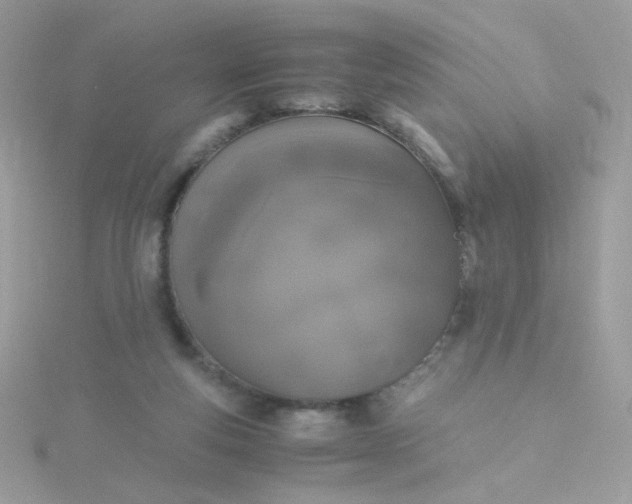 X0000115660163200911251717