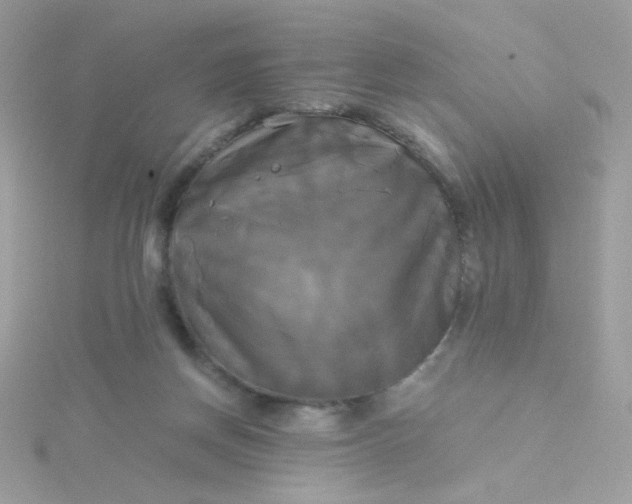 X0000115660166200911251717