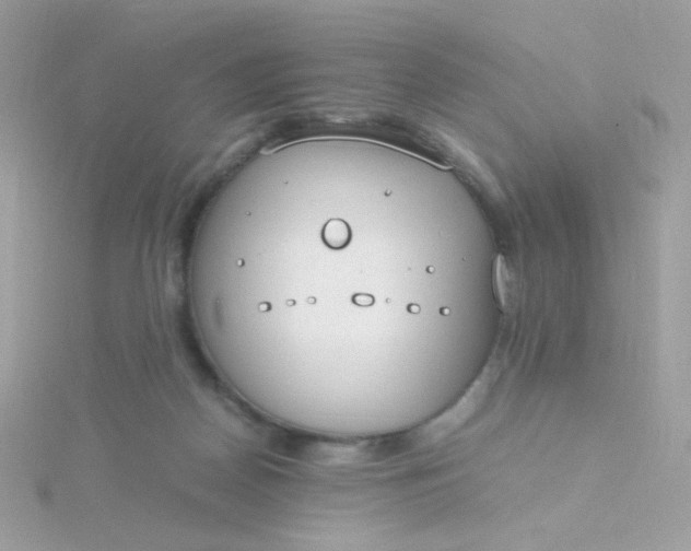 X0000115660170200911251717
