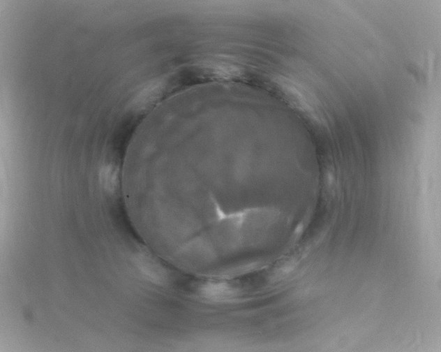 X0000115660177200911251717