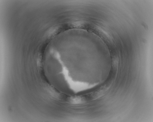 X0000115660181200911251717