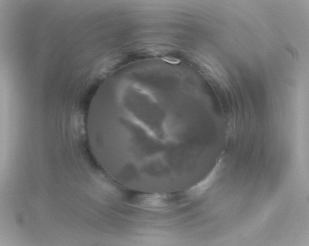 X0000115660182200911251717