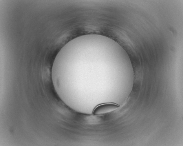 X0000115660183200911251717