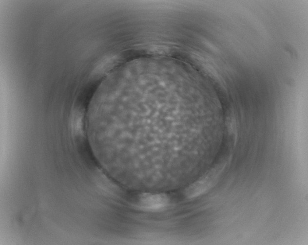 X0000115660185200911251717