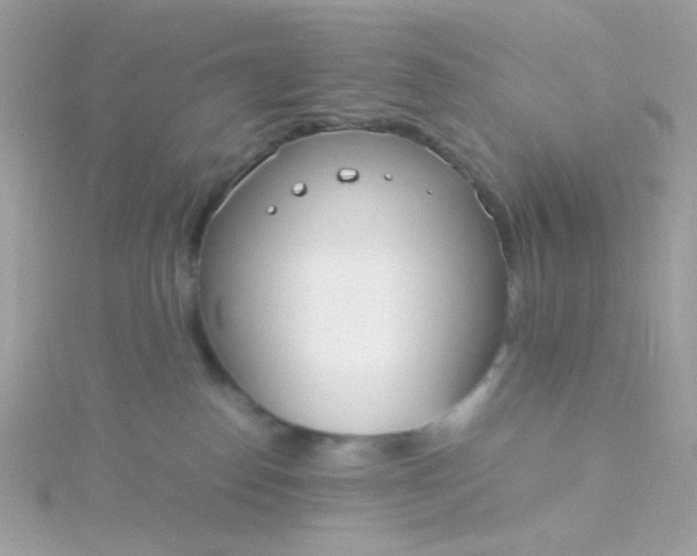 X0000115660186200911251717