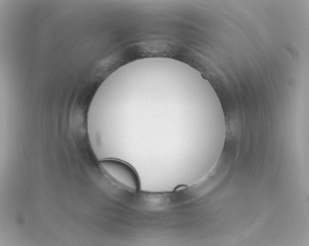 X0000115660187200911251717