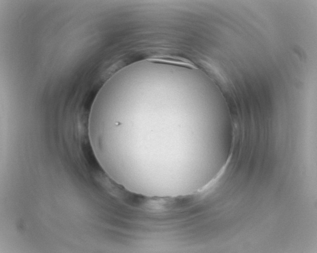 X0000115660190200911251717