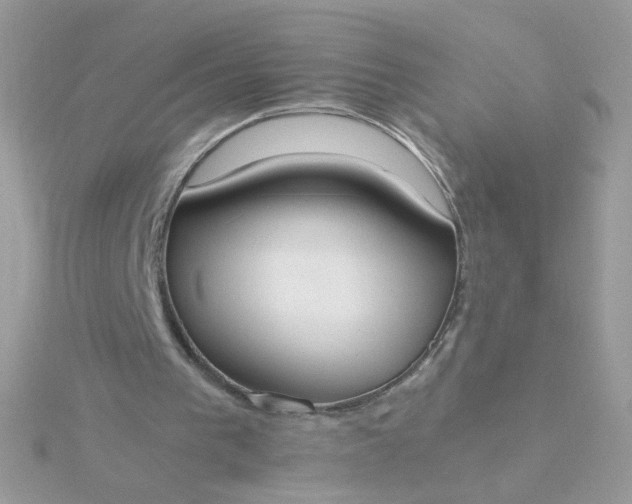 X0000115660193200911251716