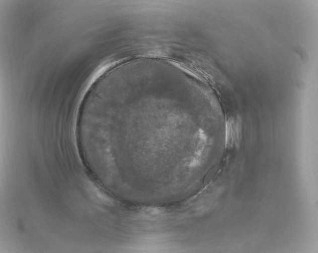 X0000115660195200911251716