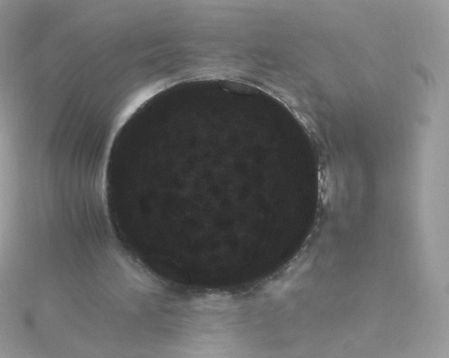 X0000115660196200911251716