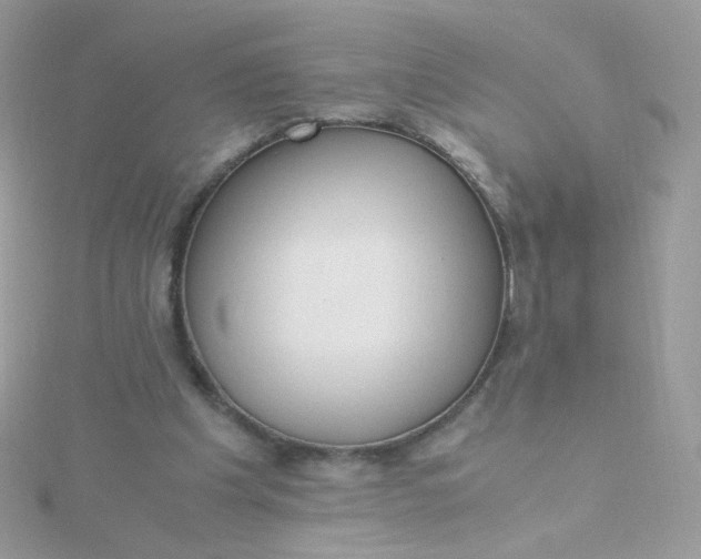 X0000115660201200911251716