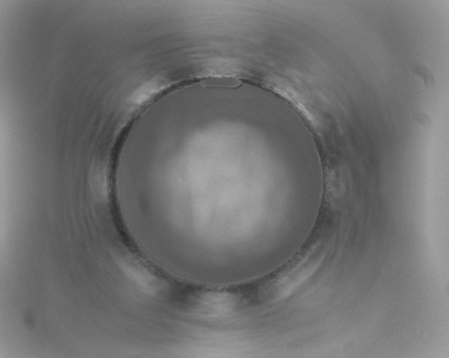 X0000115660203200911251716