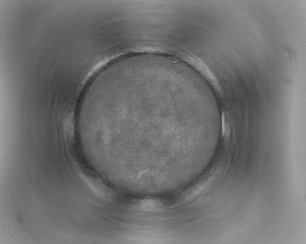 X0000115660204200911251716