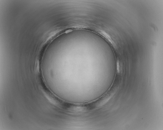 X0000115660205200911251716
