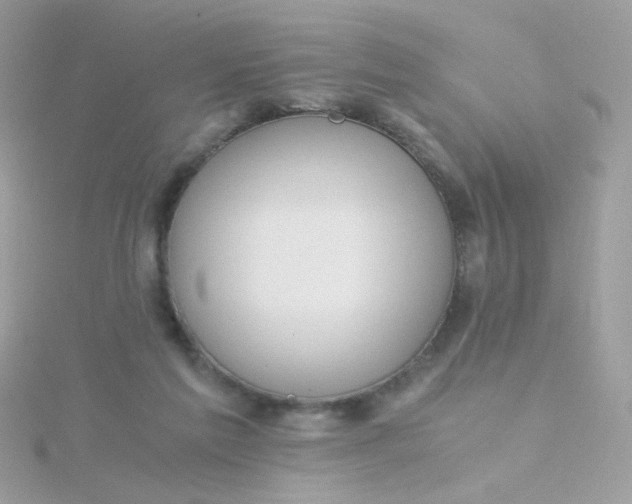 X0000115660213200911251716