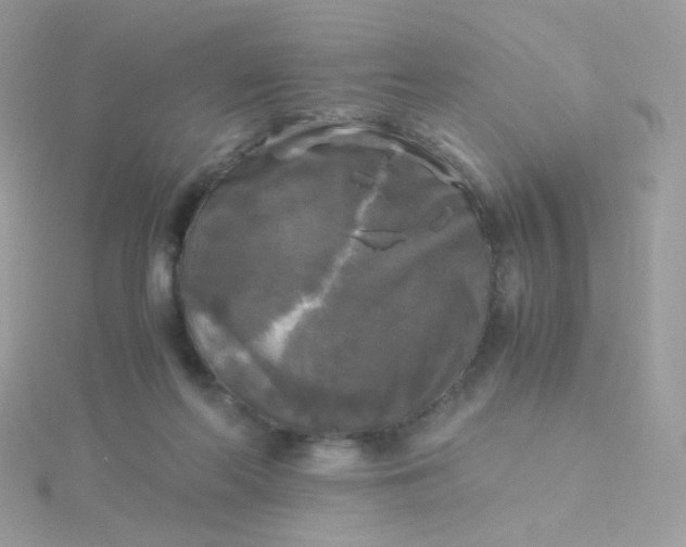 X0000115660214200911251716