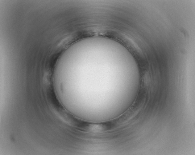X0000115660218200911251716