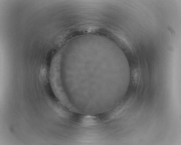 X0000115660222200911251716