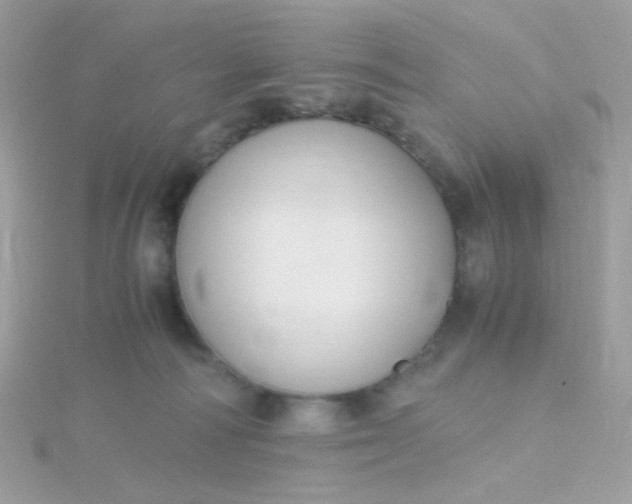 X0000115660226200911251716