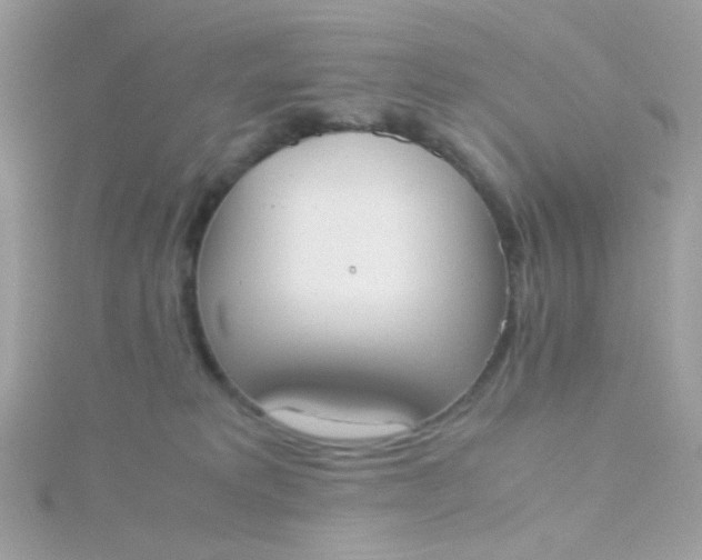 X0000115660229200911251716