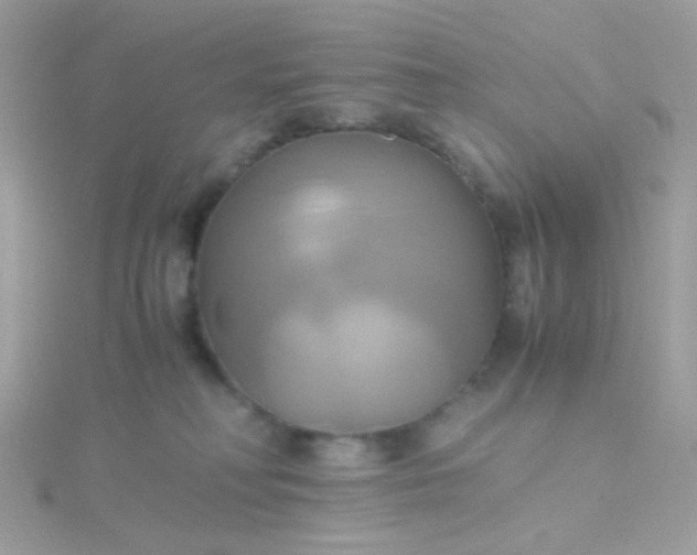 X0000115660230200911251716