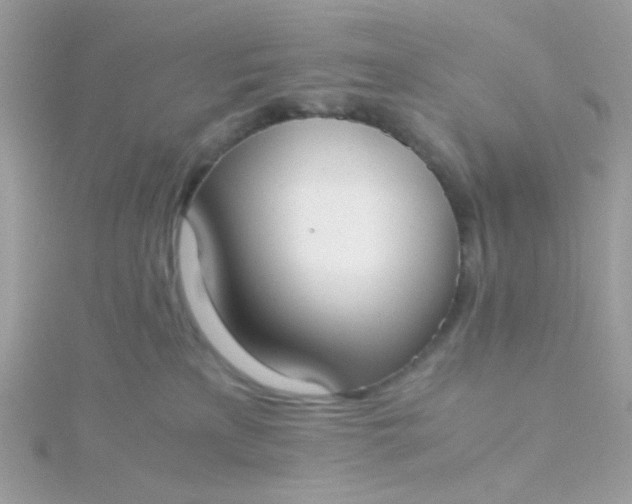 X0000115660233200911251716
