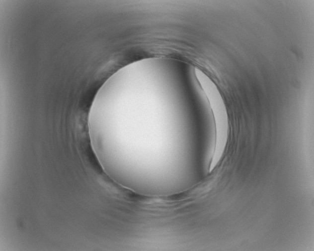X0000115660237200911251716