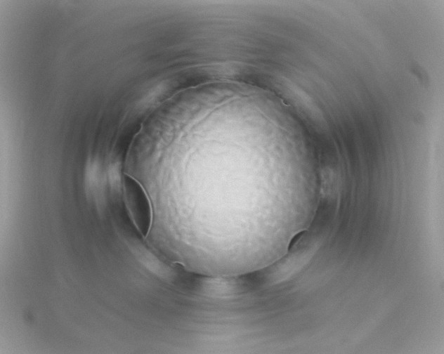 X0000115660238200911251716